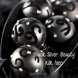 Black Silver Beauty