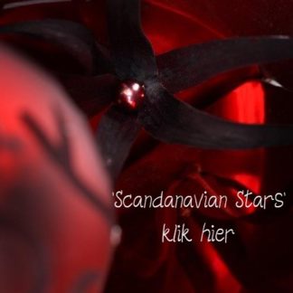 Scandinavian Stars
